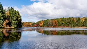 Poconos Fall Foliage